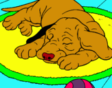 Dibujo Perro durmiendo pintado por danigato