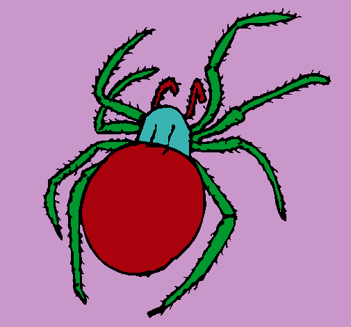 Araña venenosa