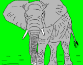 Dibujo Elefante pintado por viopx