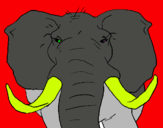 Dibujo Elefante africano pintado por mmmmmmmmmmmm
