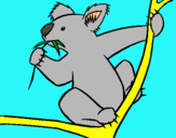 Dibujo Koala pintado por viopx