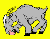 Dibujo Cabra enfada pintado por jolase
