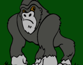 Dibujo Gorila pintado por brujito