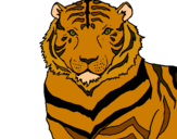 Dibujo Tigre pintado por cosetina