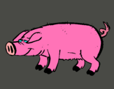 Dibujo Cerdo con pezuñas negras pintado por xaxo