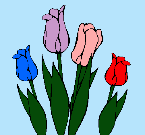 Tulipanes