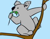 Dibujo Koala pintado por bhb30