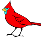 Dibujo Cardinal pintado por urielzaid