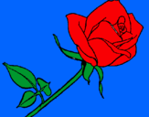 Dibujo Rosa pintado por cvju