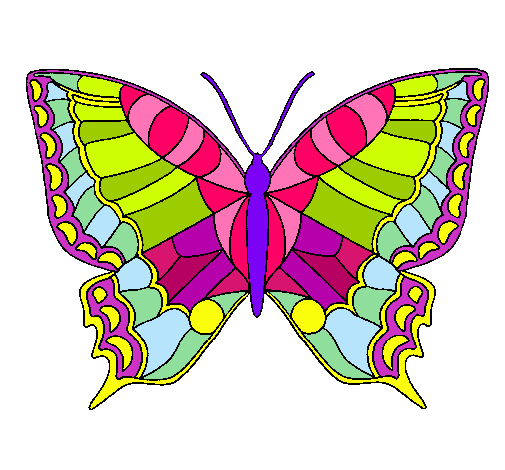 Mariposa