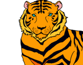Dibujo Tigre pintado por kathyakar