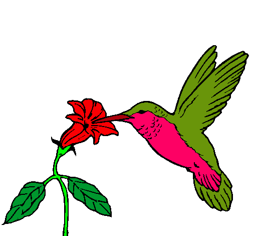 Colibrí y una flor