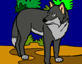 Dibujo Lobo pintado por wolfwoman