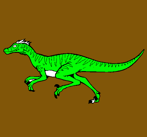 Velociraptor