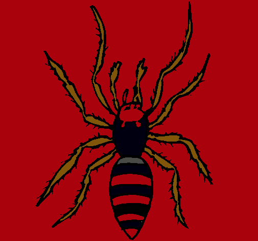 Araña tigre