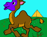 Dibujo Camello pintado por germanpe