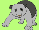 Dibujo Oso panda pintado por heyever