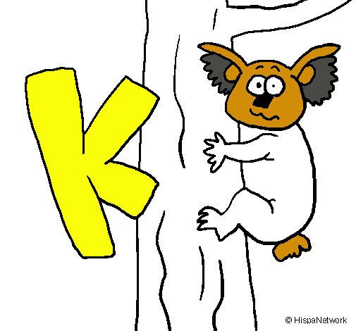 Koala