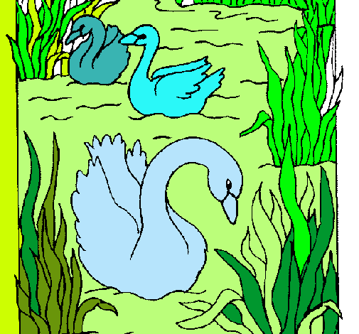 Dibujo Cisnes pintado por luciavale