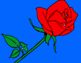 Dibujo Rosa pintado por lgansito