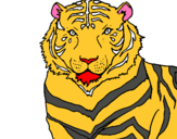 Dibujo Tigre pintado por MARICHUPI