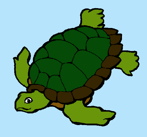 Tortuga