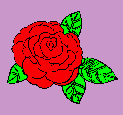 Dibujo Rosa pintado por yandira