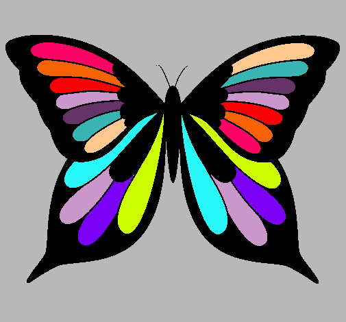 Mariposa