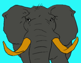 Dibujo Elefante africano pintado por omar10