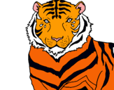 Dibujo Tigre pintado por antoine