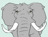 Dibujo Elefante africano pintado por animales