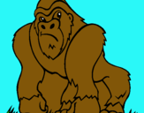 Dibujo Gorila pintado por donovxz