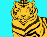 Dibujo Tigre pintado por muelitas