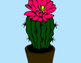Dibujo Cactus con flor pintado por sonya