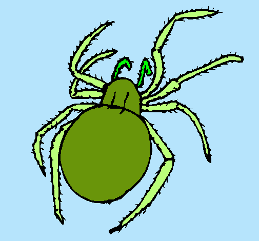 Araña venenosa