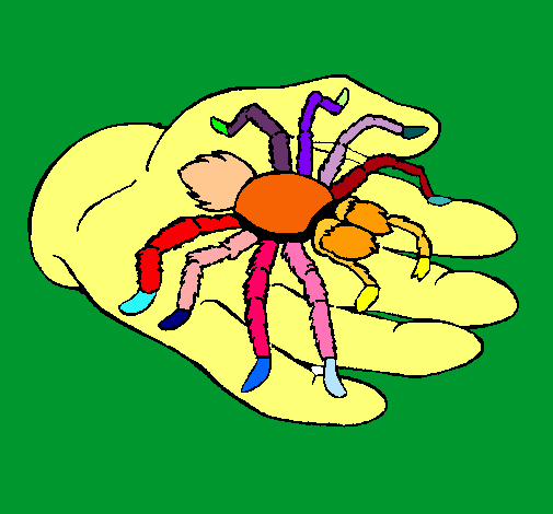 Tarántula