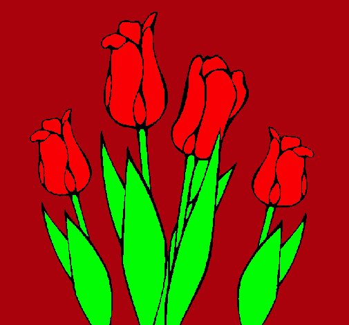 Tulipanes