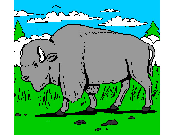 Dibujo Búfalo  pintado por antolakim