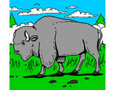 Dibujo Búfalo  pintado por antolakim