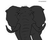 Dibujo Elefante africano pintado por danna_5