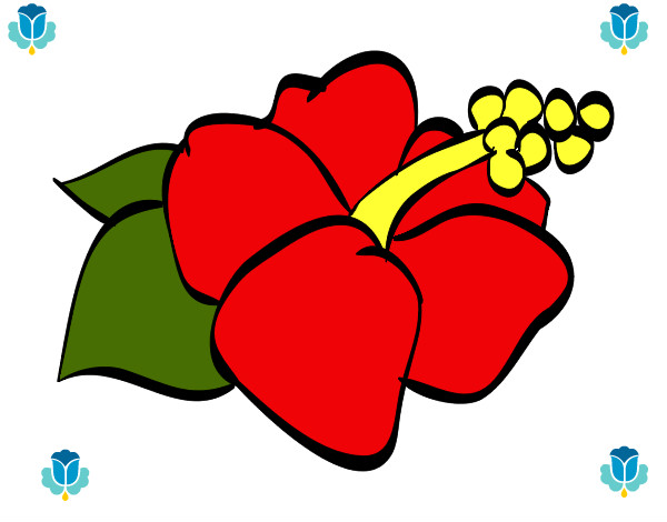 Dibujo Flor de lagunaria pintado por viancalee