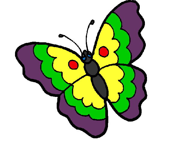 La mariposa colorida
