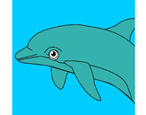 Dibujo Delfín pintado por antitto