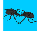 Dibujo Escarabajos pintado por antitto