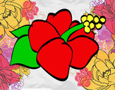 Dibujo Flor de lagunaria pintado por gipson 