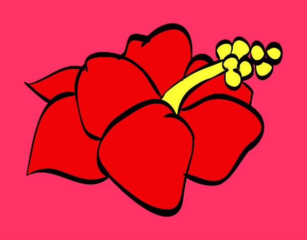 Dibujo Flor de lagunaria pintado por zenny