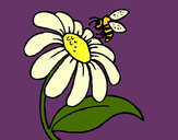 Dibujo Margarita con abeja pintado por lamorales