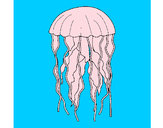 Dibujo Medusa pintado por antitto