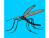 Dibujo Mosquito pintado por antitto