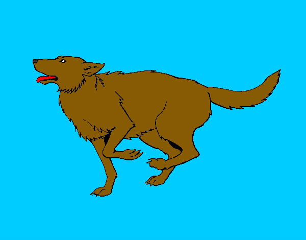 Dibujo Perro corriendo pintado por antitto